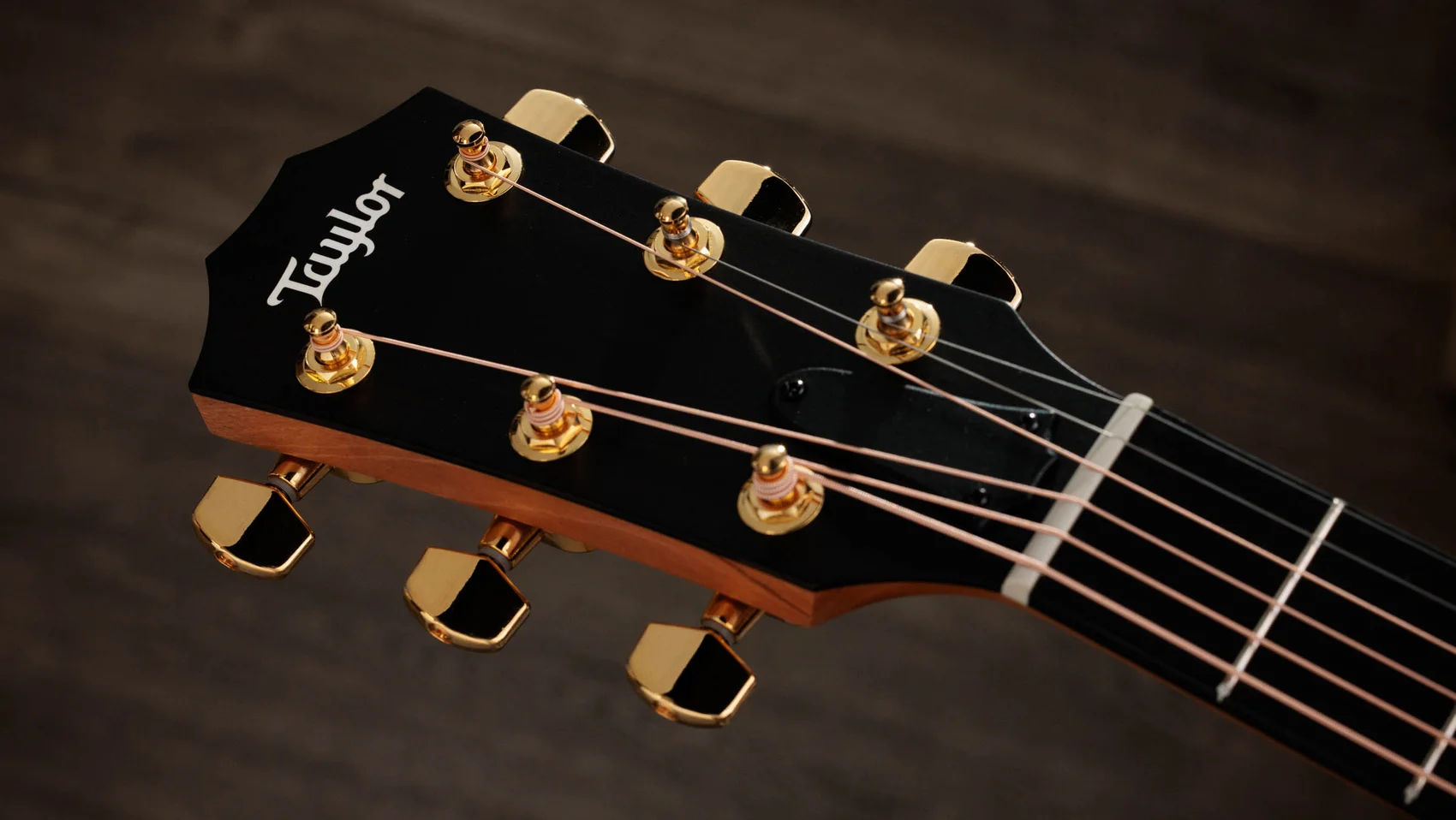 ギター TAYLER 214CE-KDLX 214ce-K DLX ハワイアン・コア アコースティック エレクトリック